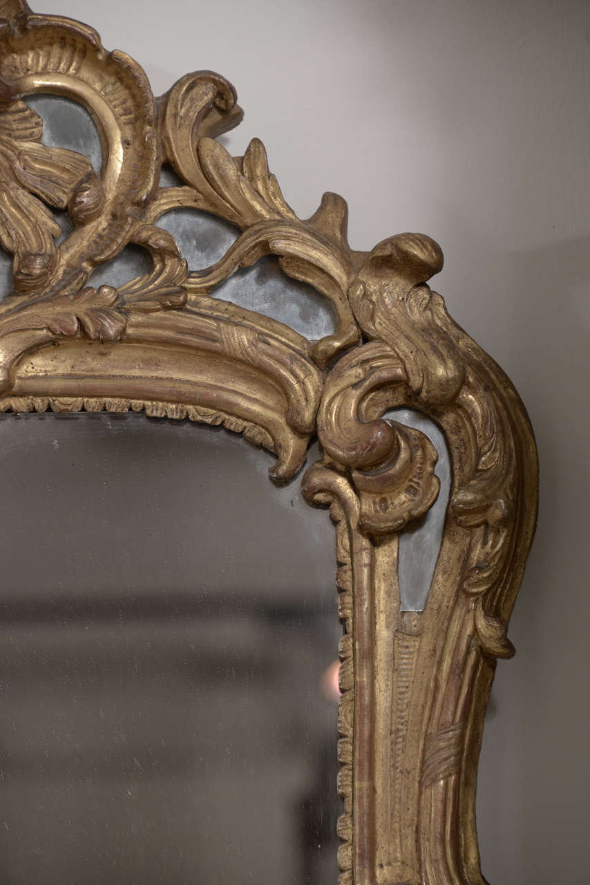 18th Century Louis XV Bois Dore Mirror In Excellent Condition In Houston, TX