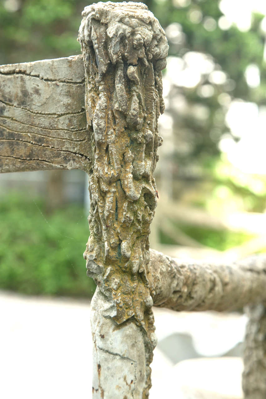 French Faux Bois Branch Form Garden Chair 3