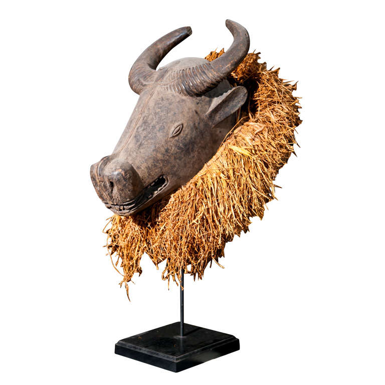 Fine Holo  Buffalo  Mask  From  Dem. Republic  Of Congo
