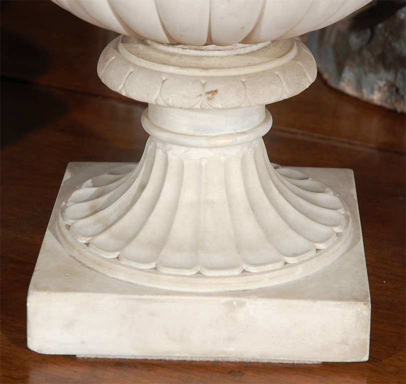 Italian, marble urn with crisp carving featuring mythological creatures and floral motifs.