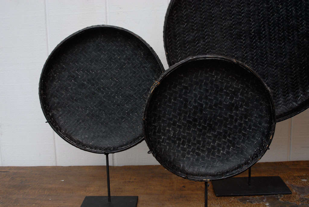 Rare set of five round rattan trays/baskets in unique black colored lacquer displayed on museum stands. The pieces make a strong contemporary sculptural and art statement.