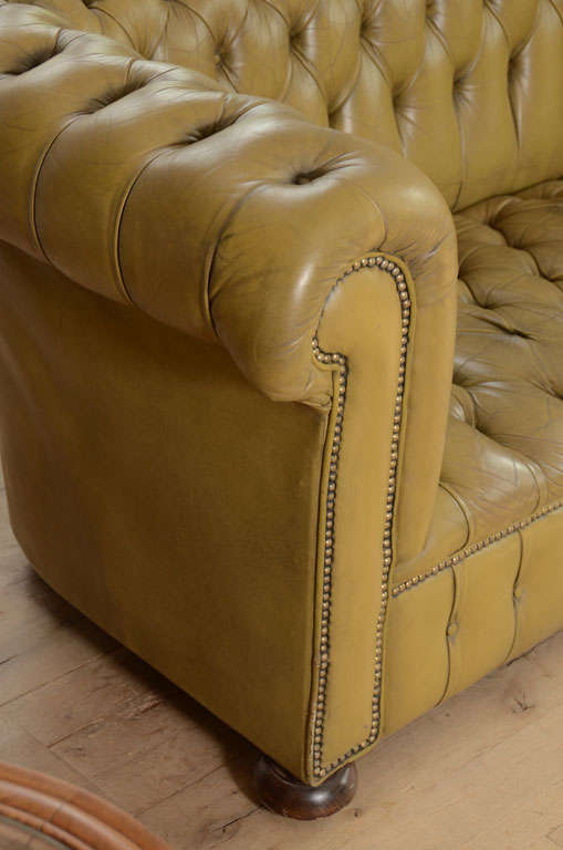 English Chesterfield sofa in chartreuse green leather
