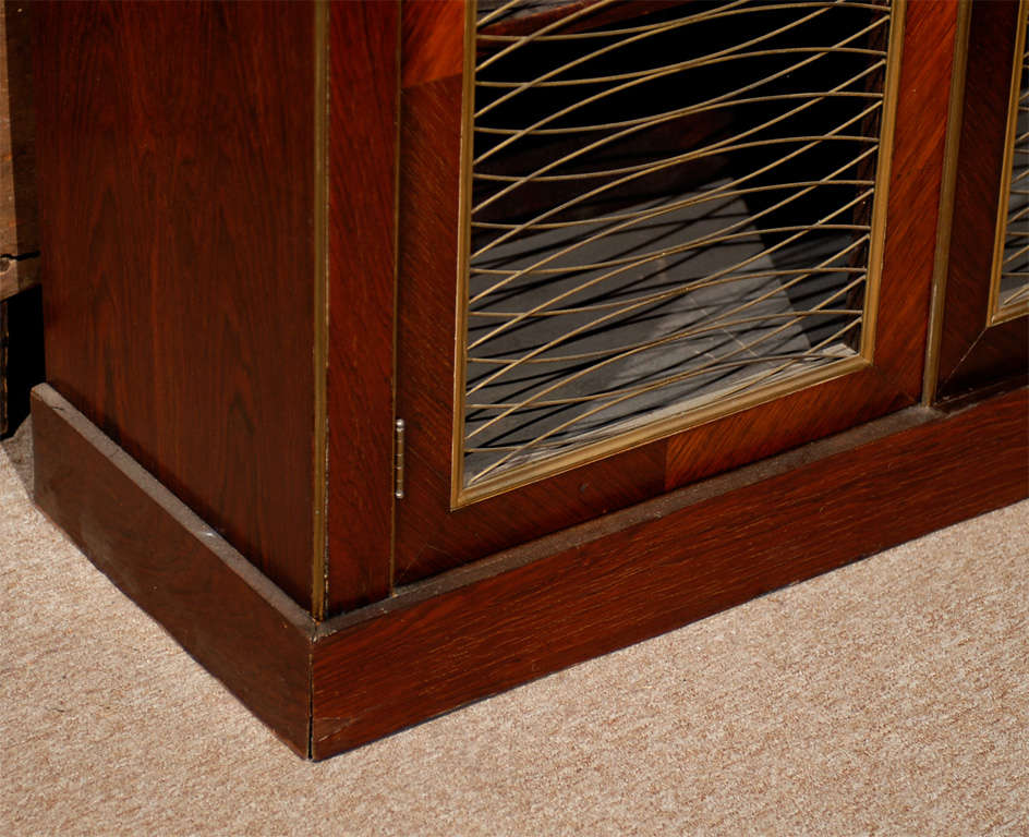 Regency Style Rosewood Chiffoniere with Brass Trim, England 2