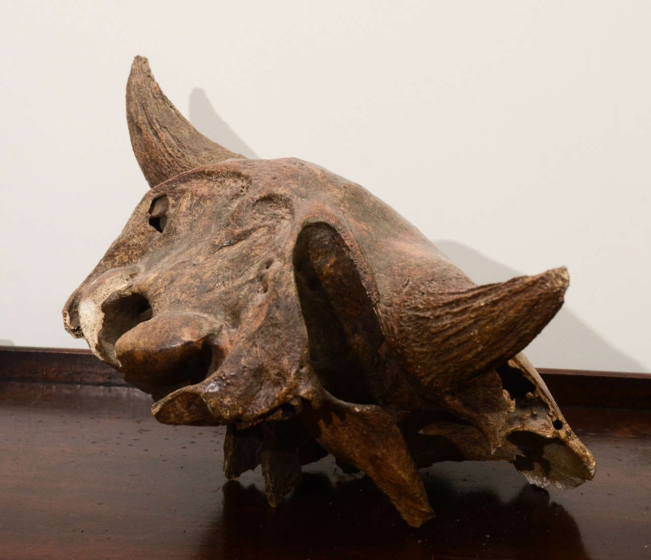 Aged and Patinated Cow Skull 4