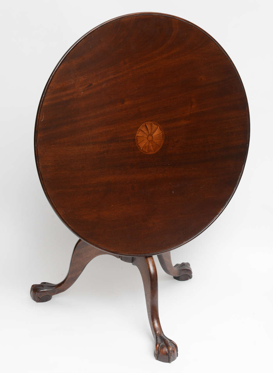 Unusual low mahogany table with inlay, tripod  tilt top with claw & ball feet, original restored finish. correct height for a cocktail/ coffee table