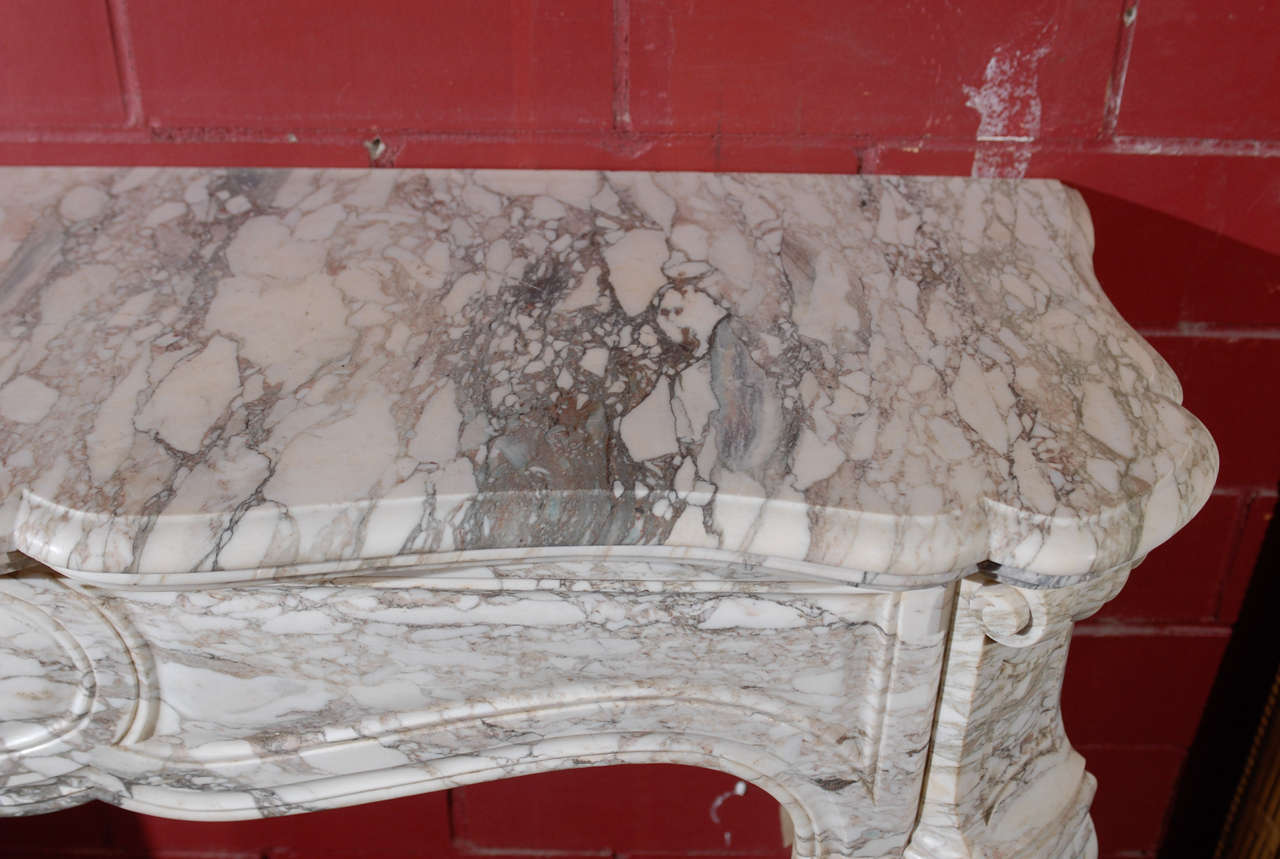 French 19th.C. Pompadour Carved Marble Mantel For Sale 3