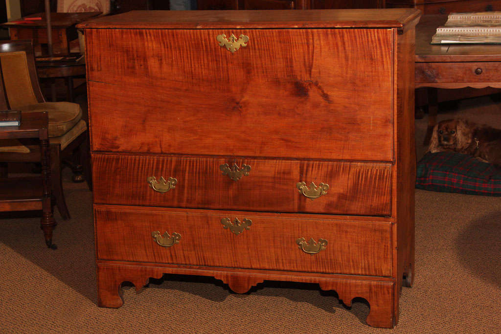 American Tiger Maple Blanket Chest