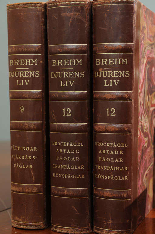 Assorted Leather Bound Books For Sale 1