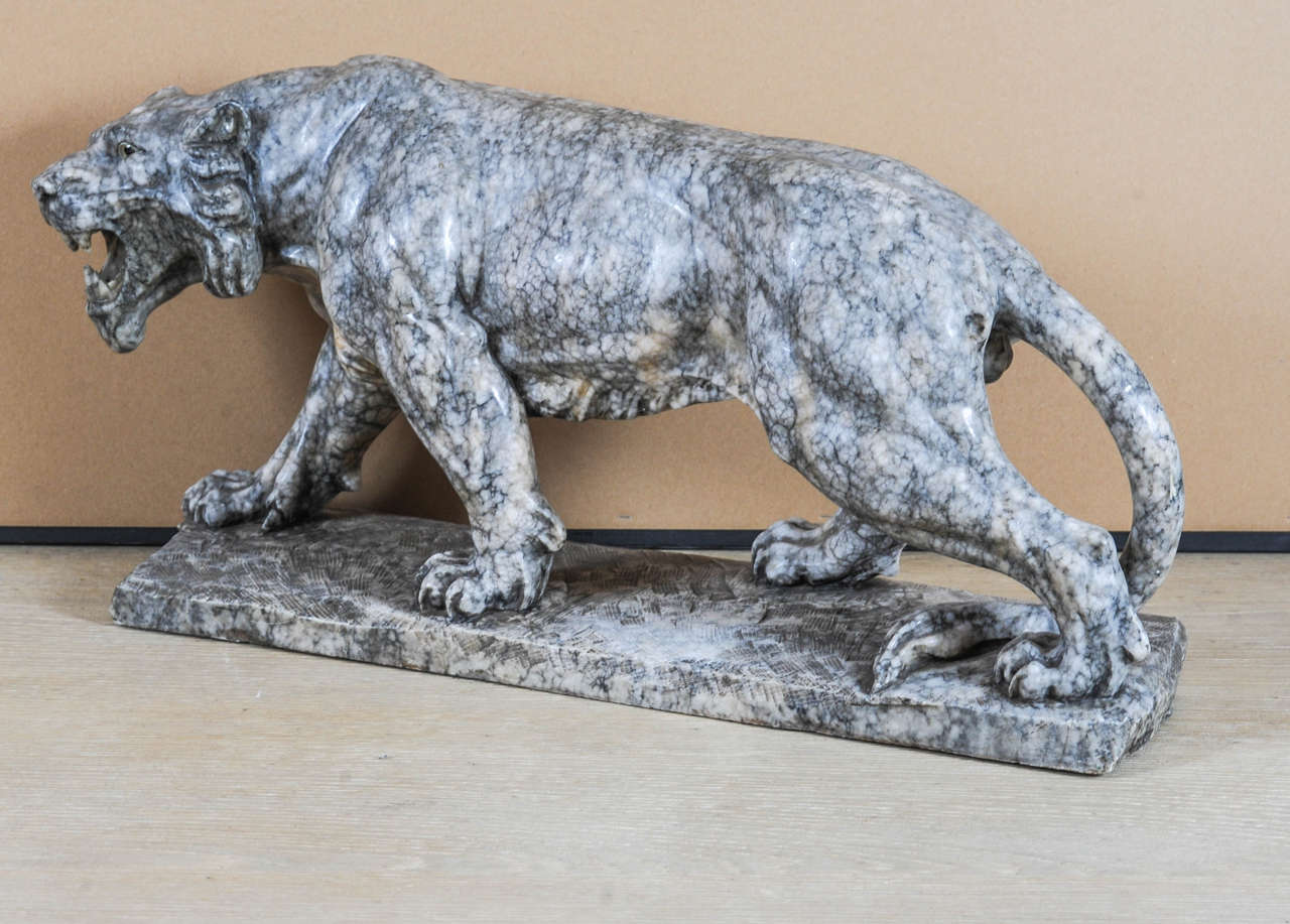 Italian Marble Tiger