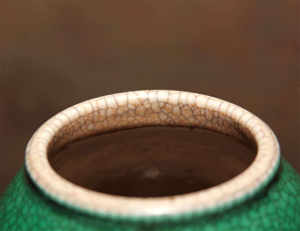 Chinese Enameled Green Crackle Porcelain Vase 1