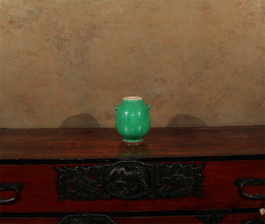 Chinese Enameled Green Crackle Porcelain Vase 6