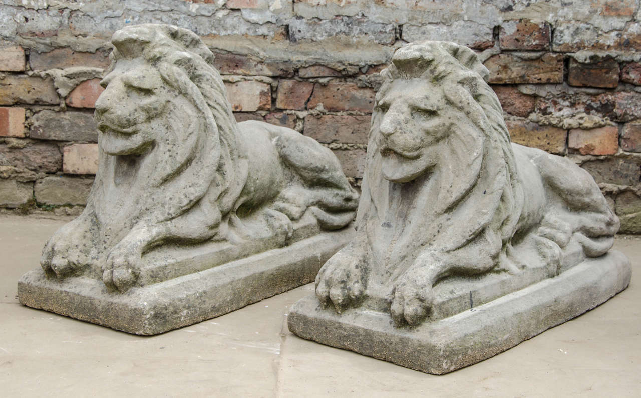 A pair of traditional lion pier caps in reconstituted stone. These majestic lion statues are ideal to flank an entranceway or staircase.