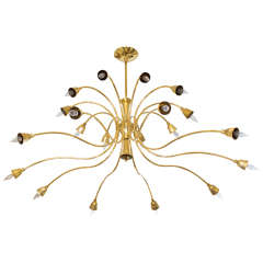 Brass two-tier curvilinear chandelier