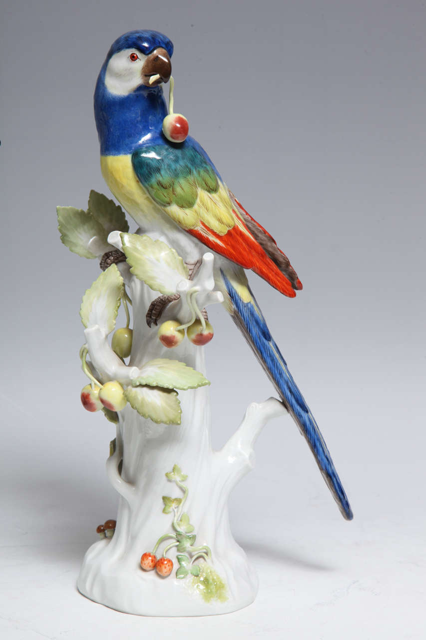 Allemand Paire de sculptures anciennes de perroquets en porcelaine de Meissen (Allemagne)