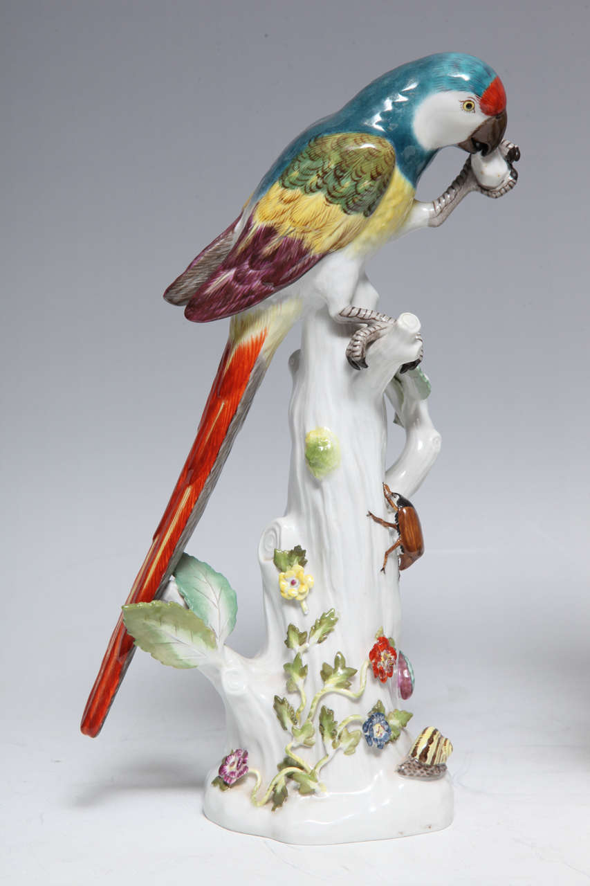19th Century Pair Fine Antique German Meissen Porcelain Sculptures of Parrots