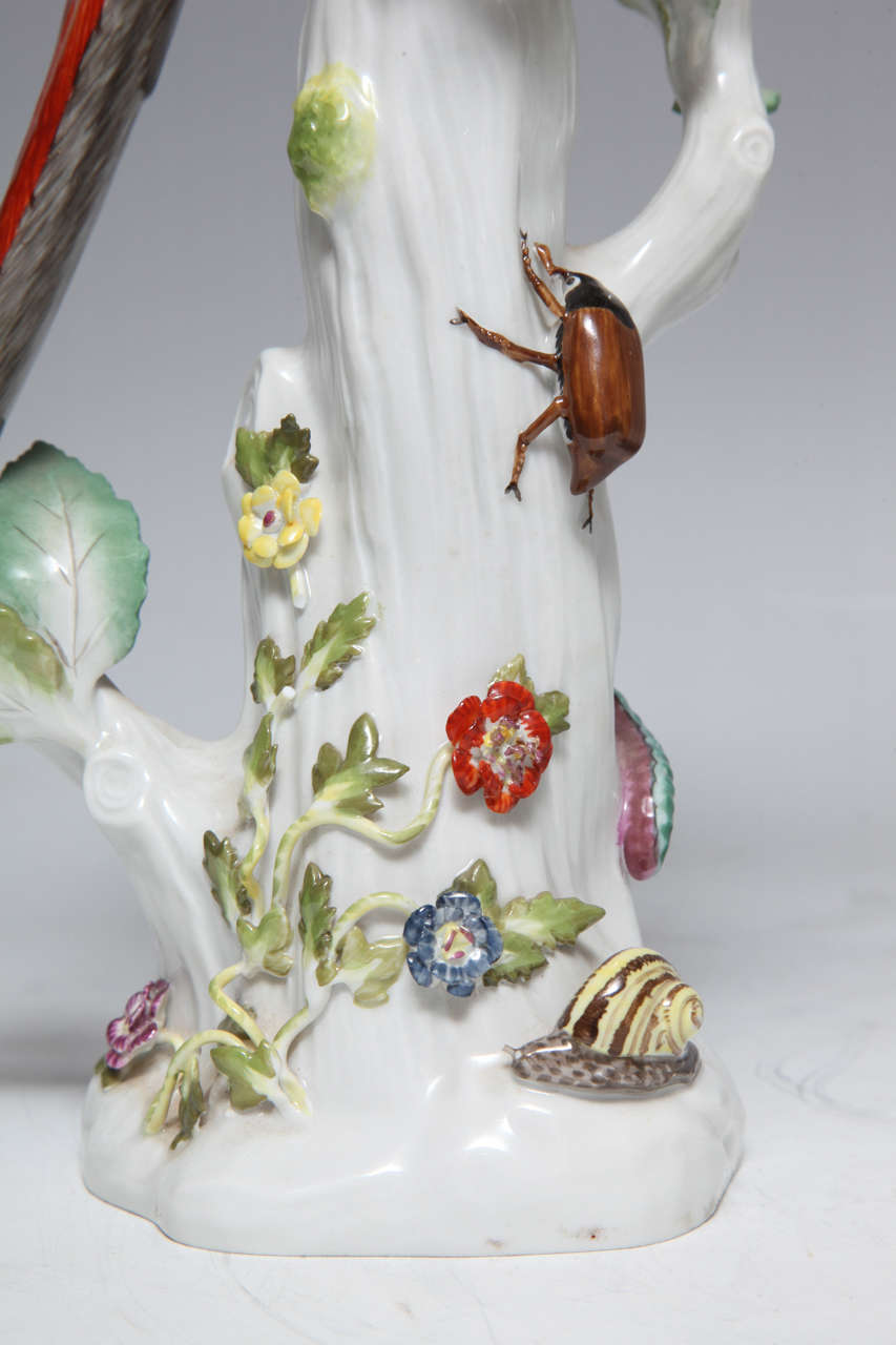 XIXe siècle Paire de sculptures anciennes de perroquets en porcelaine de Meissen (Allemagne)