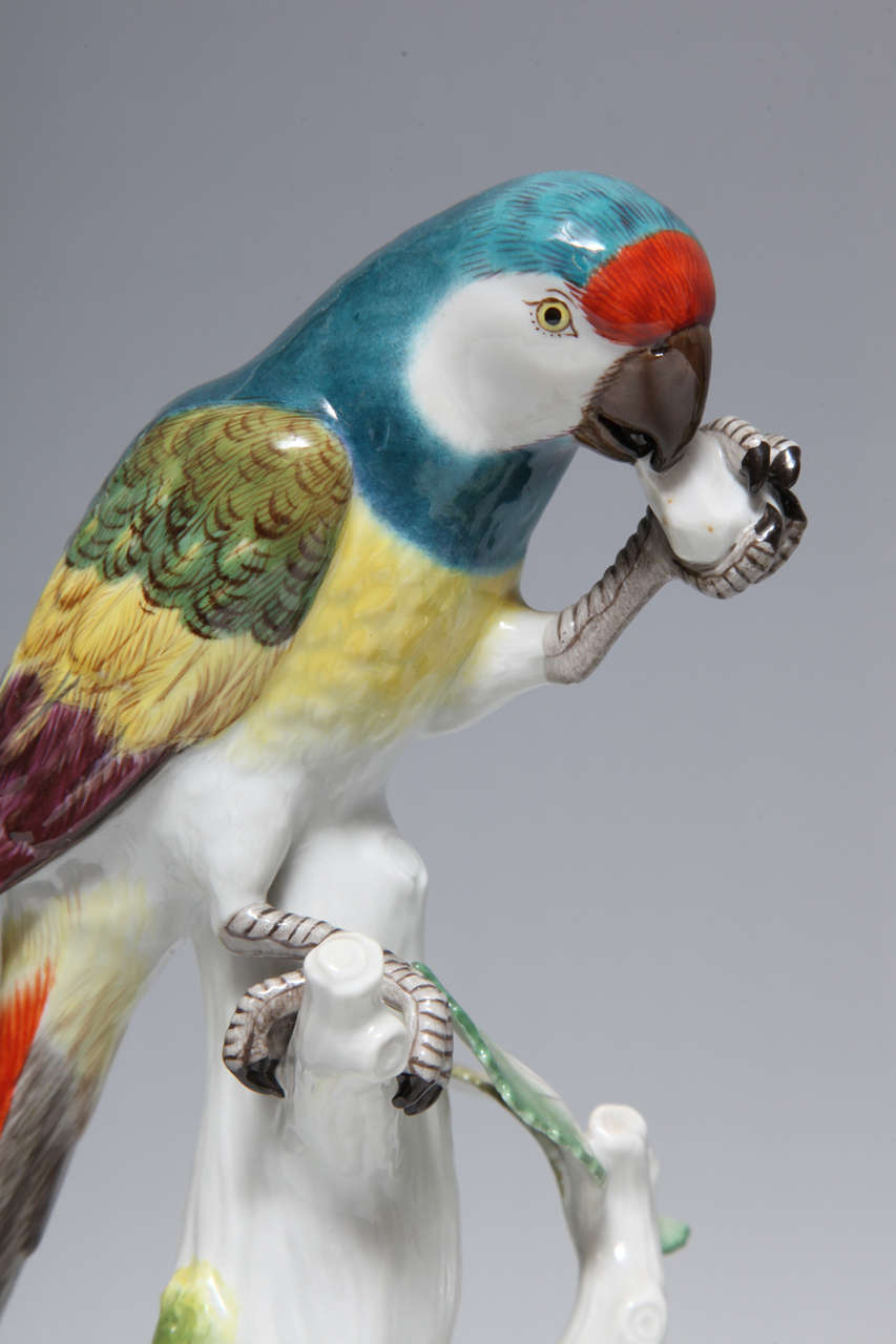 Pair Fine Antique German Meissen Porcelain Sculptures of Parrots 2