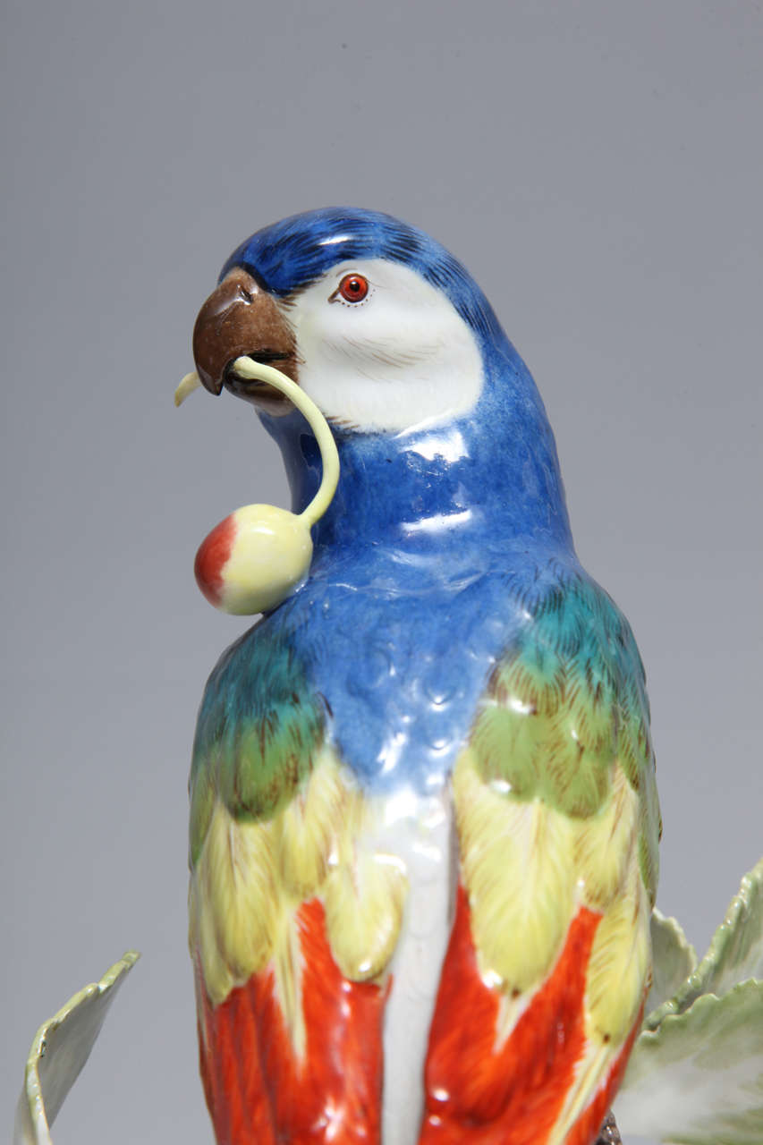 Pair Fine Antique German Meissen Porcelain Sculptures of Parrots 3