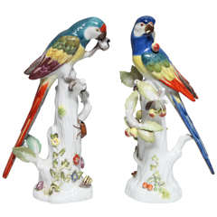Pair Fine Antique German Meissen Porcelain Sculptures of Parrots