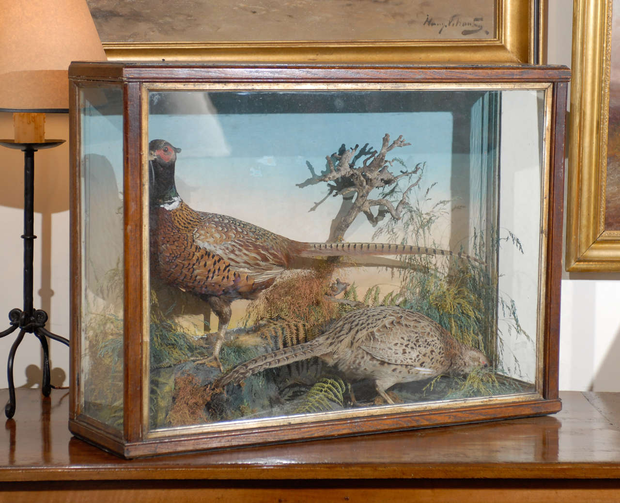 Stuffed British Pheasants in Glass and Wooden Display Case from the 19th Century 4