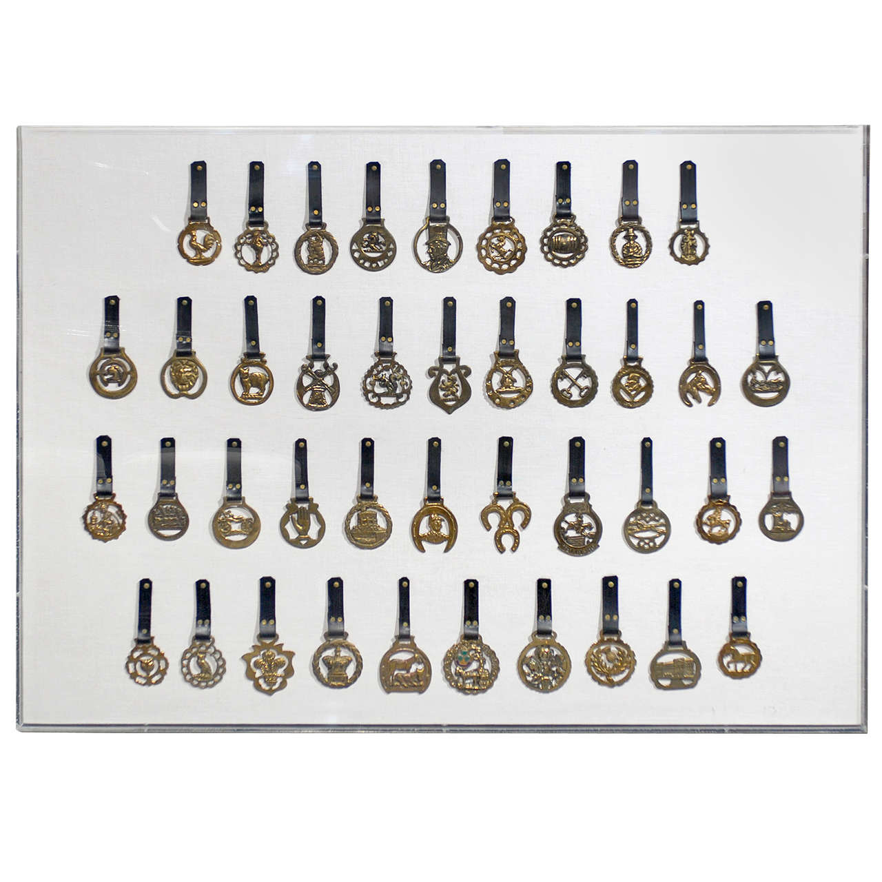 Collection of Old Horse Brasses in Lucite Frame