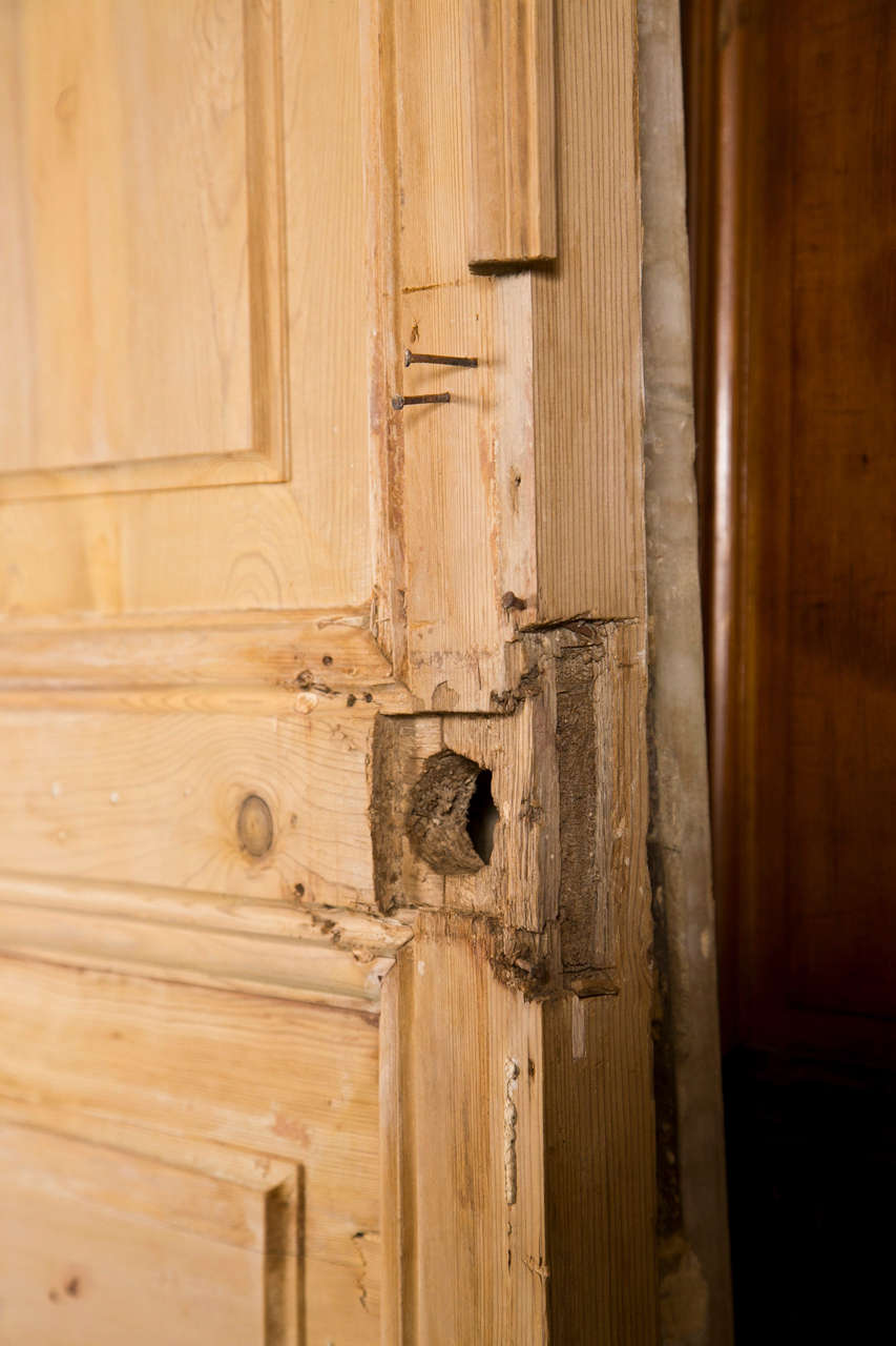 Pair of French Pine Doors 19th Century 2