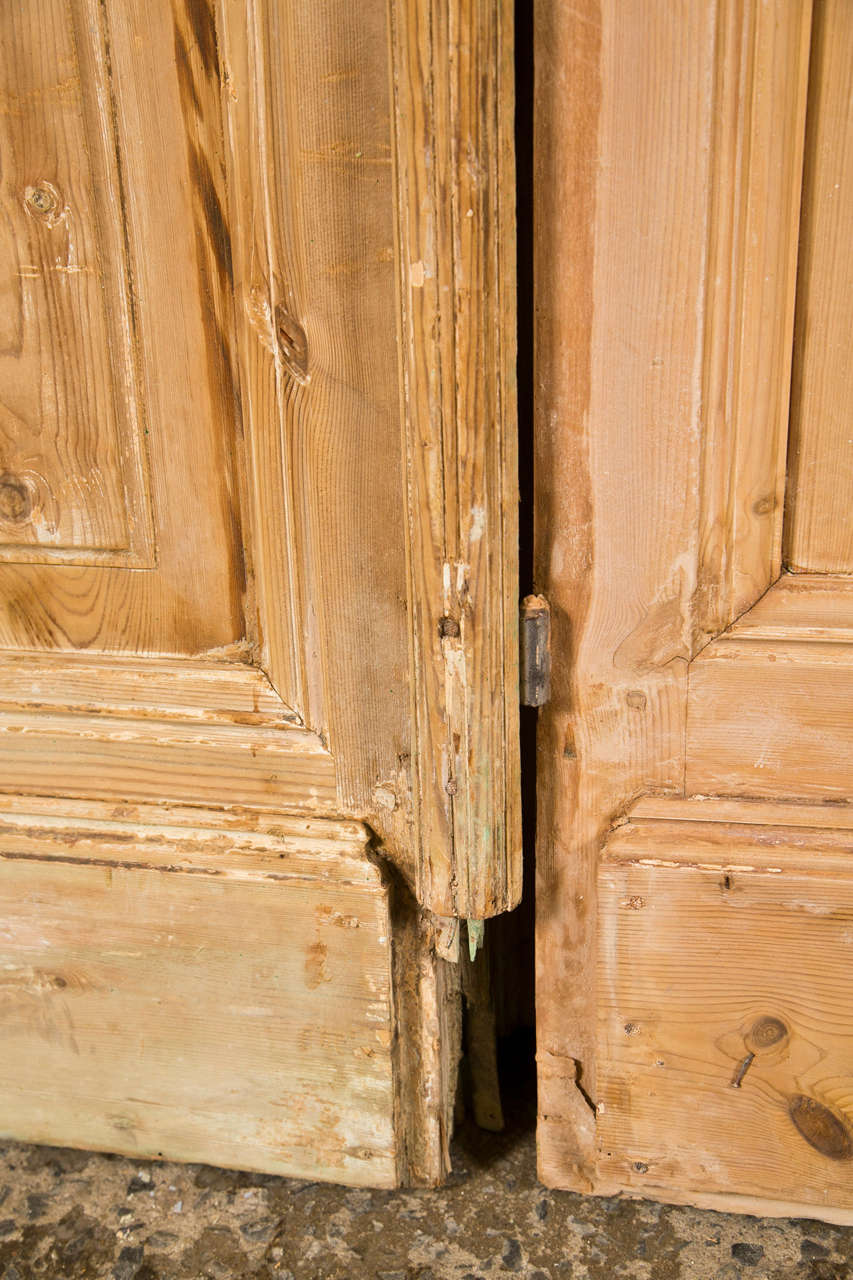 Pair of French Pine Doors 19th Century 3