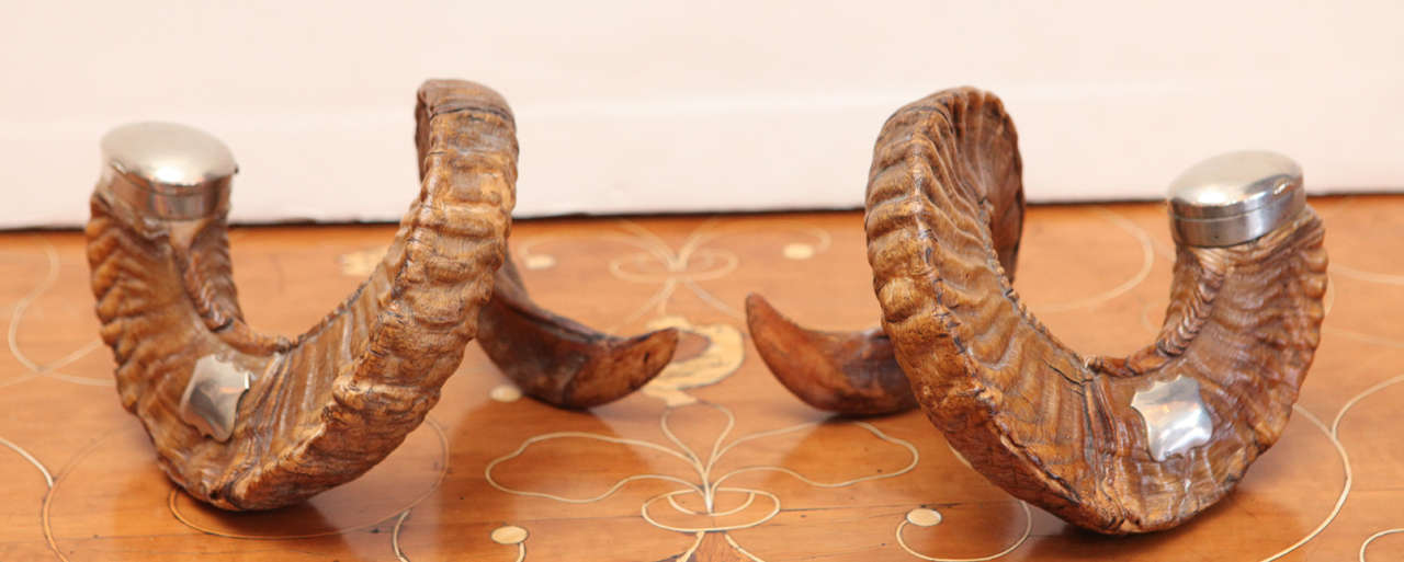 Pair of Victorian, ram's horn inkwells with sterling silver caps and a plaques suitable for engraving.