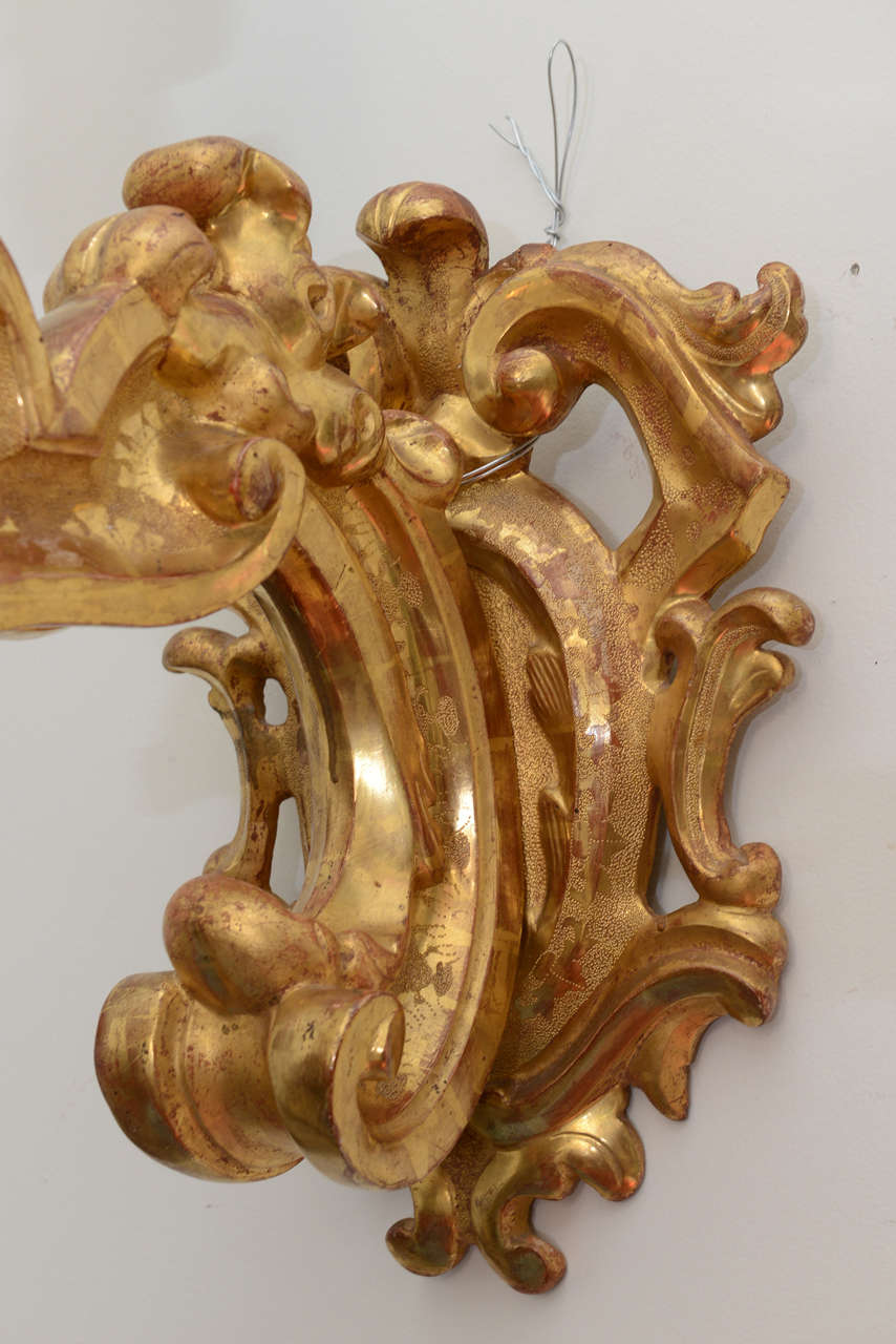 Wood Pair of Giant Italian Gilt Candle Sconces