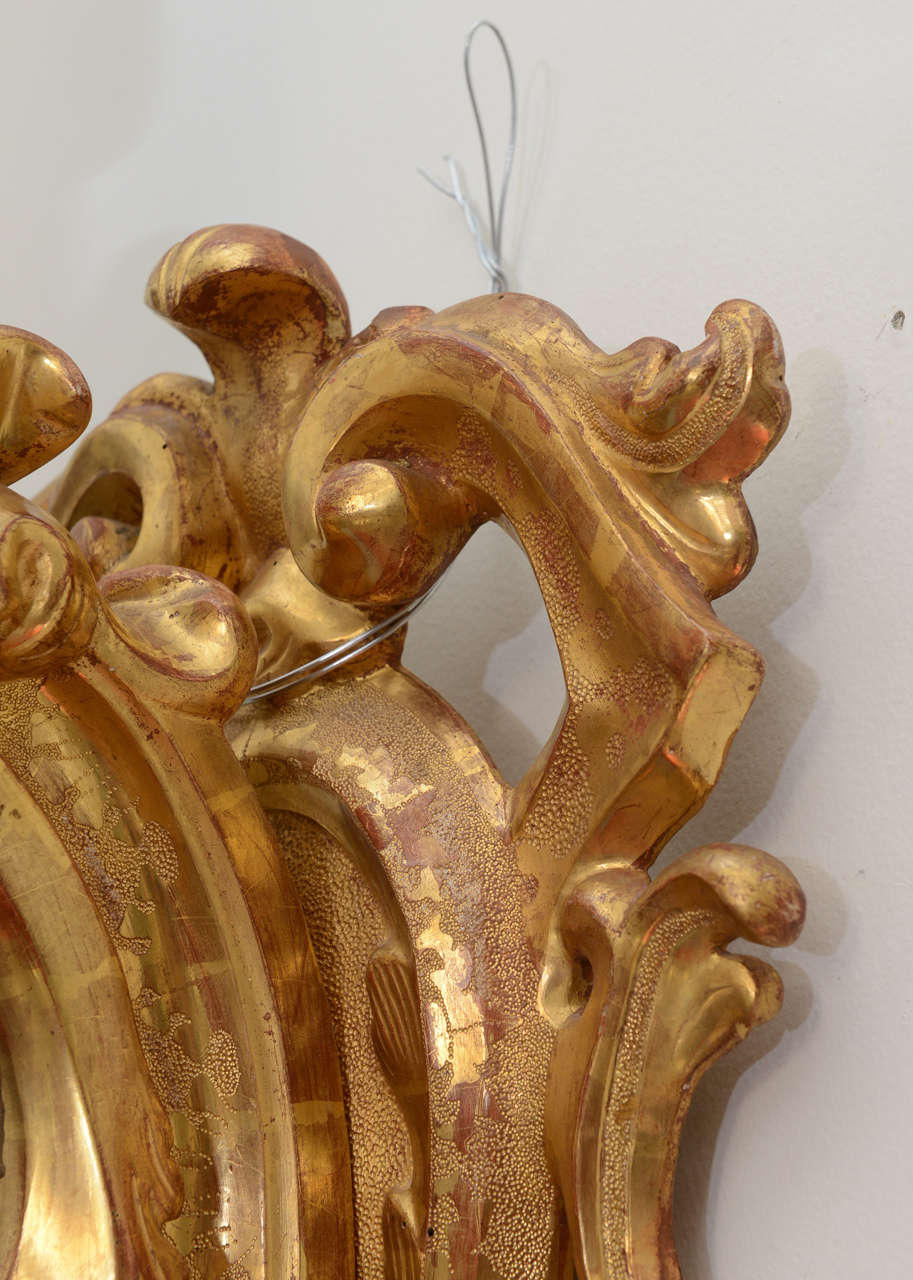 Pair of Giant Italian Gilt Candle Sconces 4