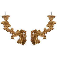 Pair of Giant Italian Gilt Candle Sconces