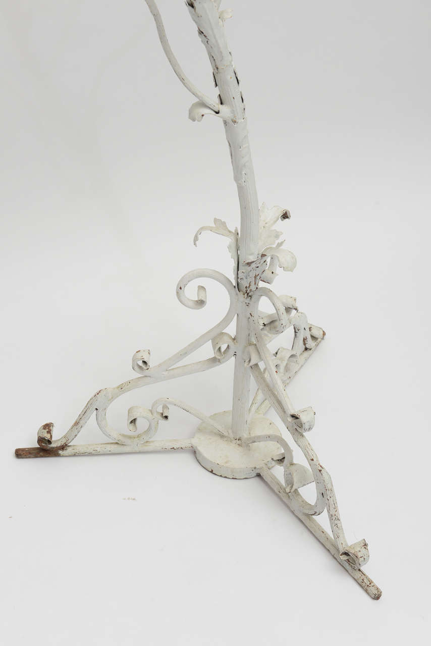 Mid-20th Century Pair of French Iron Orchid Stands