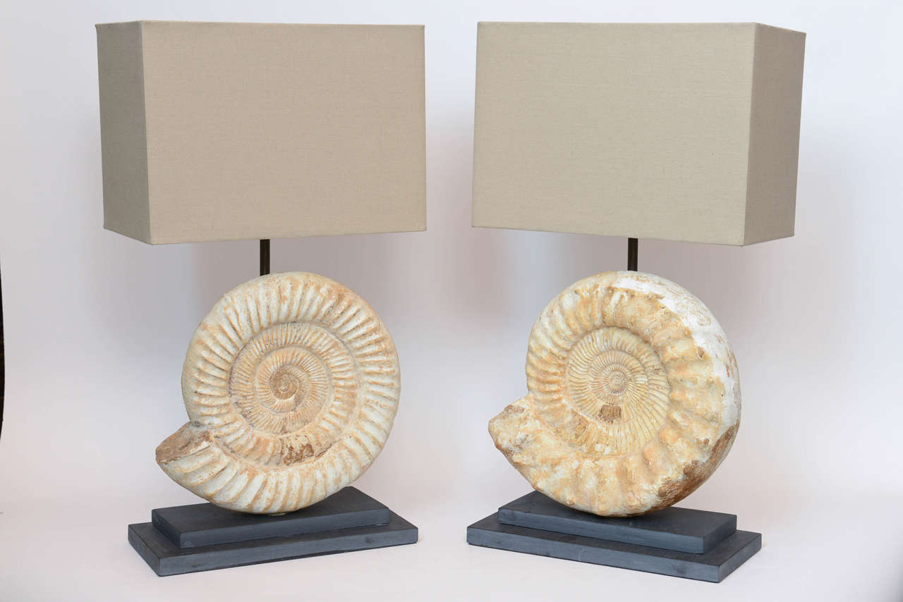 British Pair of Madagascar Ammonites Lamps For Sale