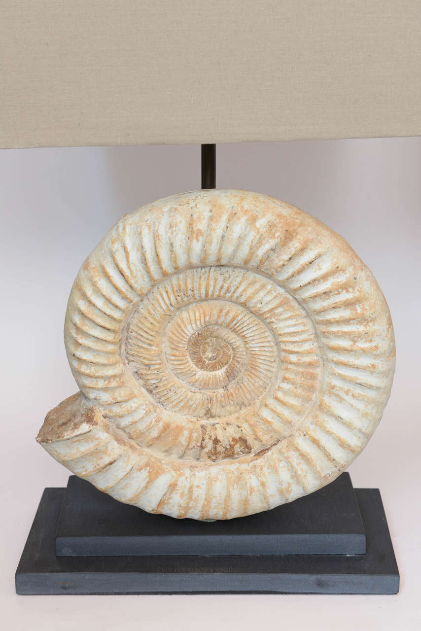 Contemporary Pair of Madagascar Ammonites Lamps For Sale