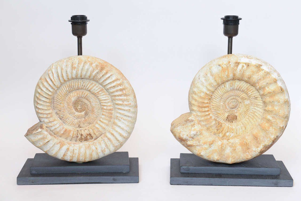 Pair of Madagascar Ammonites Lamps For Sale 1