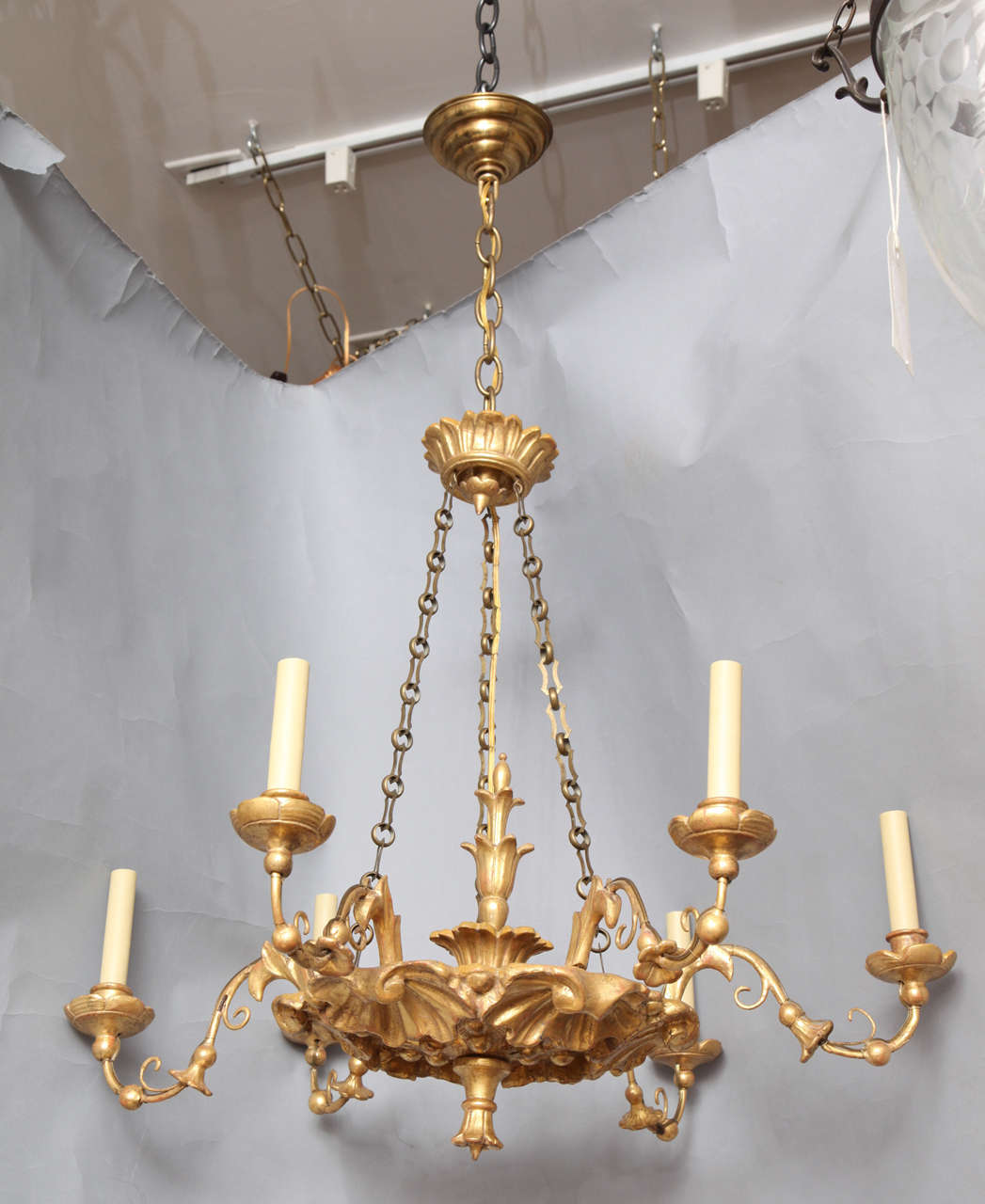 A 6 light Austrian carved and gilt wood chandelier with shell motifs on underside of dish. Suspended from 3 lengths of chain and a gilt wood canopy. The drop could be as little as 24 to 26