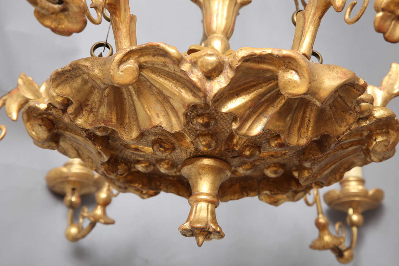 Giltwood A 6 Light Austrian Carved and Gilt Wood Chandelier