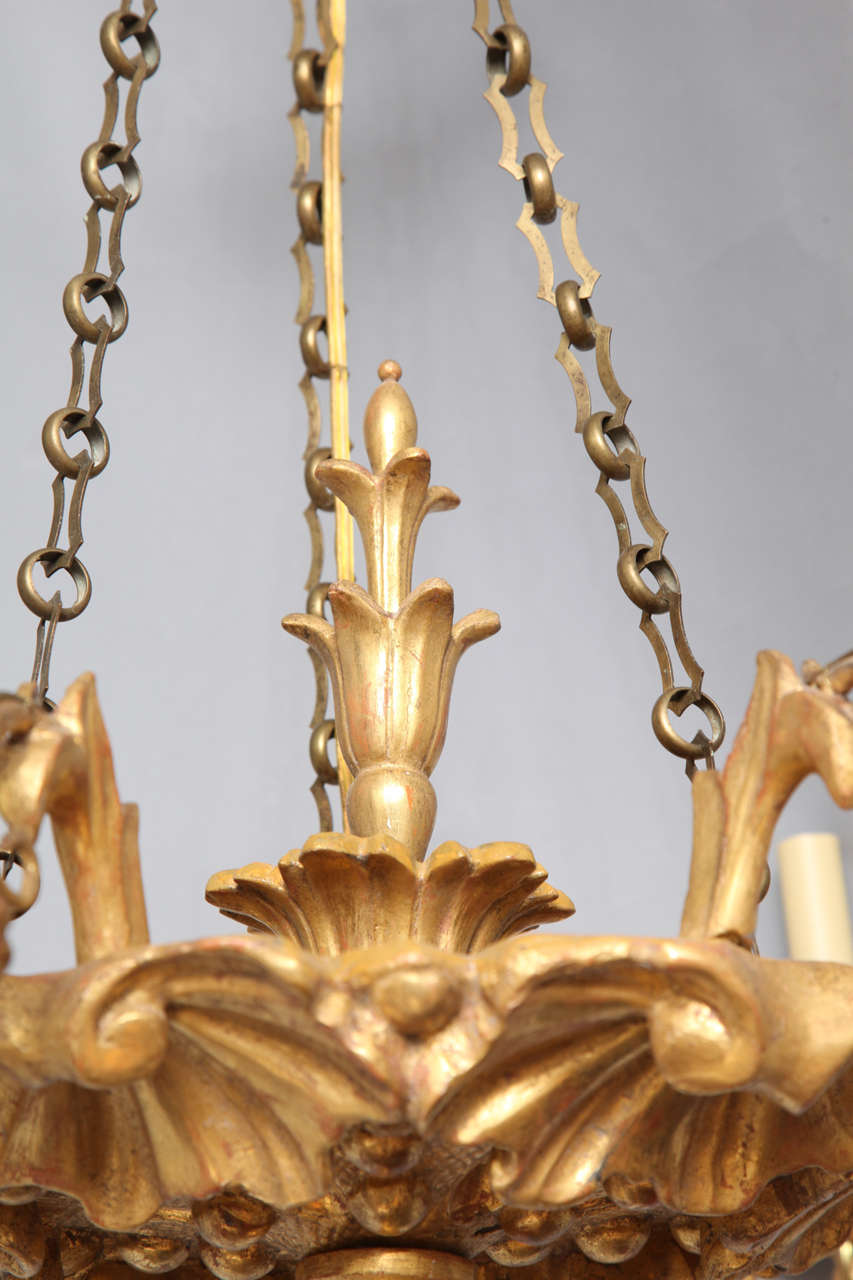 A 6 Light Austrian Carved and Gilt Wood Chandelier 1