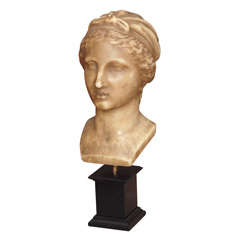 Rare Wax Bust of a Woman in a Kerchief