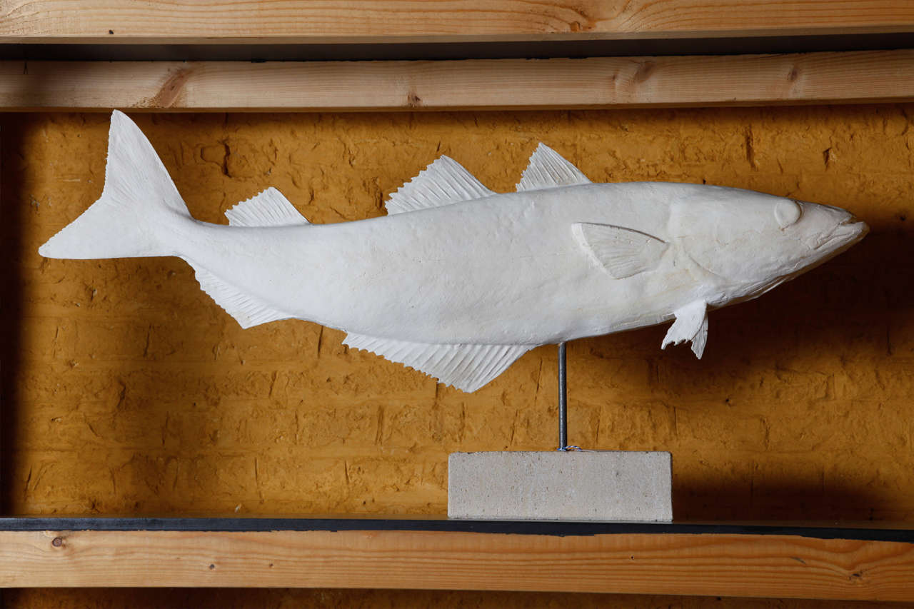 Collection of 10 Plaster North Sea Fish on a Limestone Base