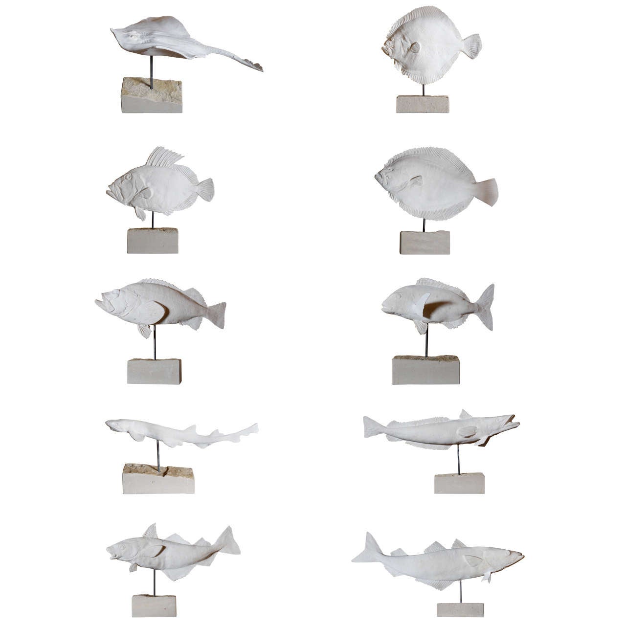 Collection of 10 Plaster North Sea Fish on a Limestone Base