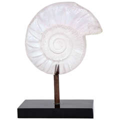 Resin Ammonite Sculpture 12