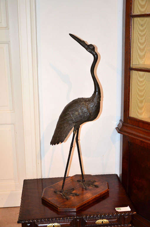 Bronze Heron