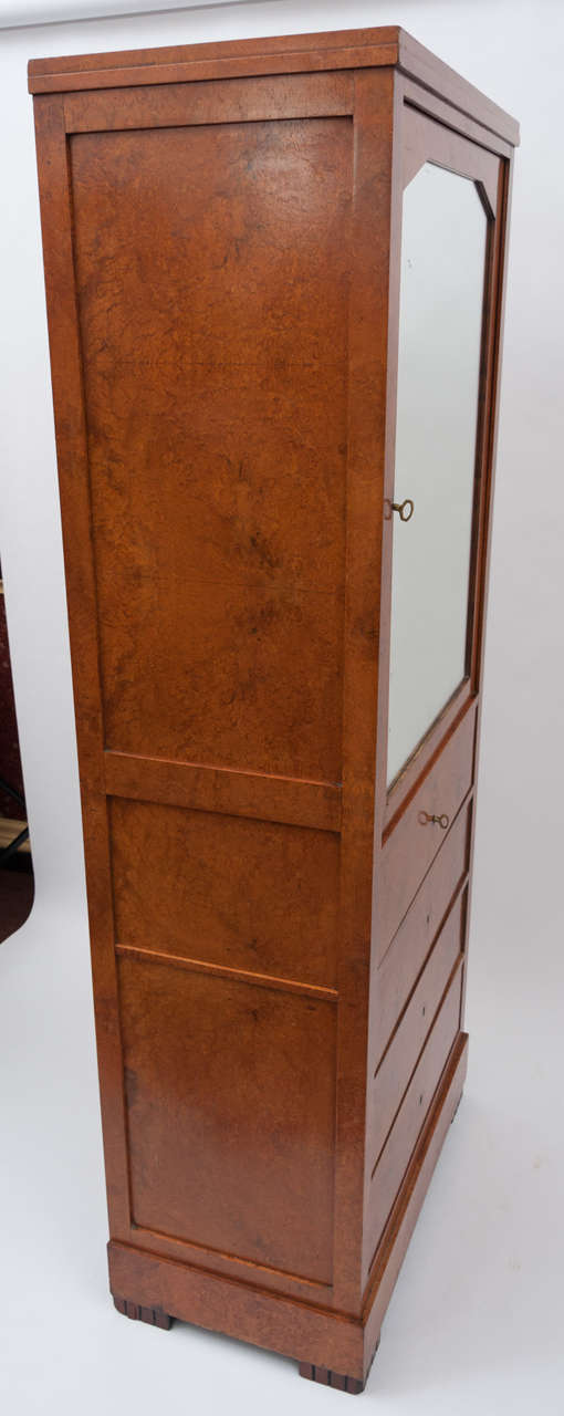 19th Century North European Amboyna Cabinet / Bookcase For Sale 4