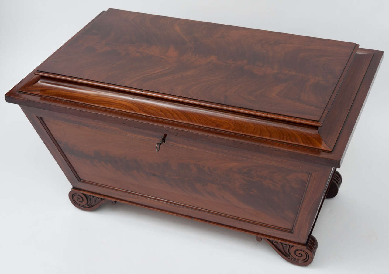 19th Century A Good Regency Mahogany Sarcophagus Shaped Wine Cooler For Sale
