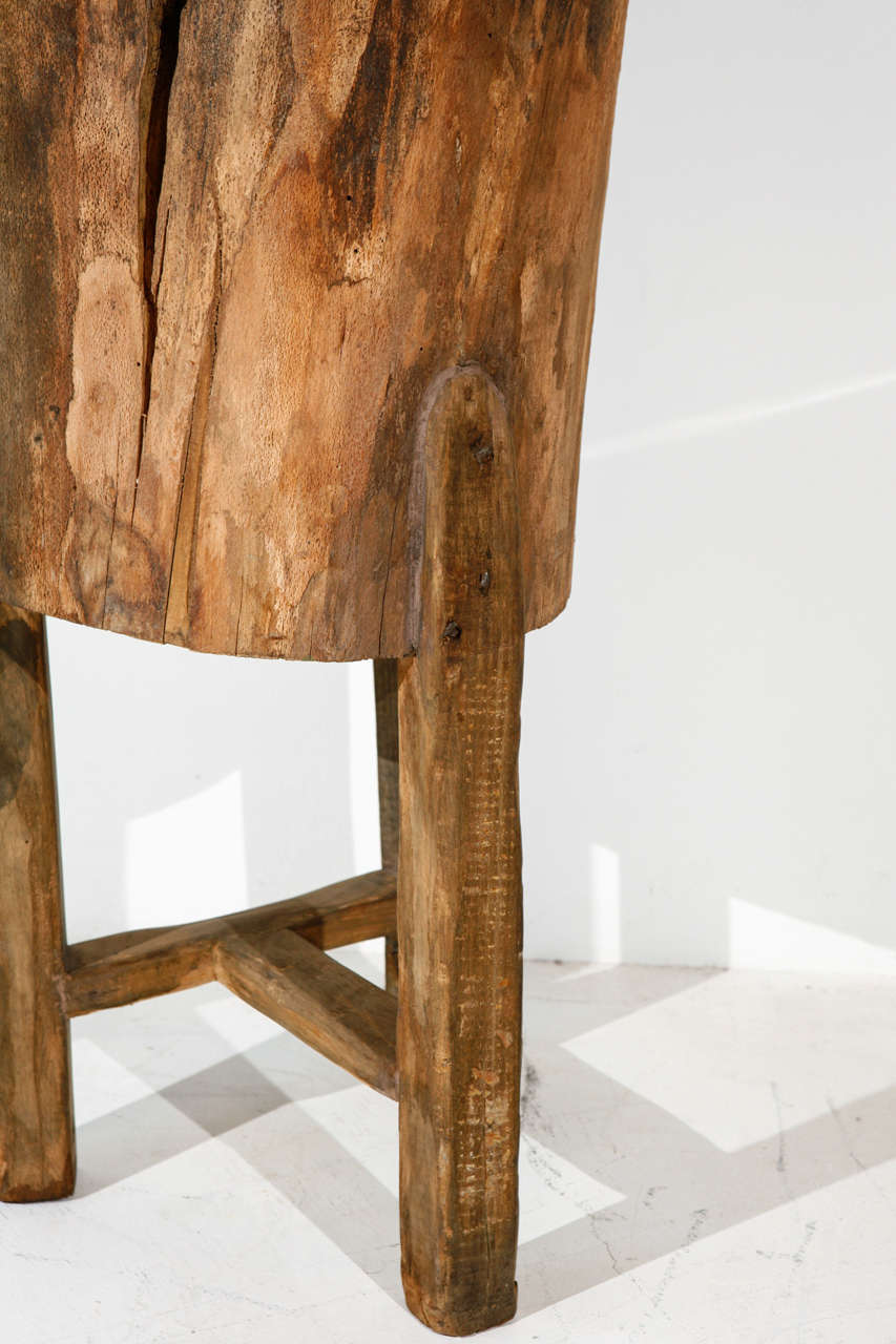tree trunk pedestal base