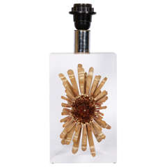 Nice Lucite Table Lamp with Inclusion of Sea Urchin