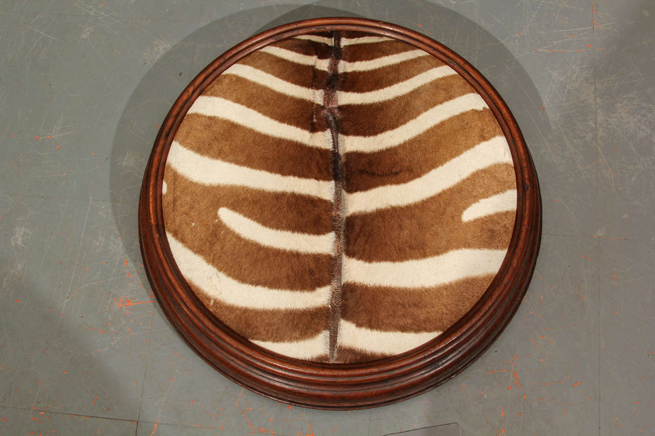 large, low zebra footstool .  turn of the century footstool with 1940's zebra hide
