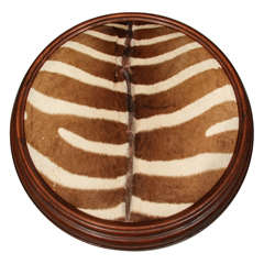 Vintage Zebra Footstool