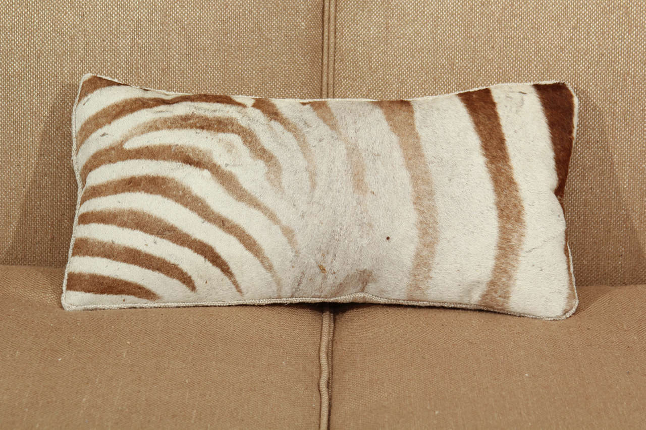 zebra pillows 3